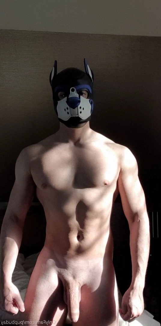 pupbuday Onlyfans leaked photo 2879171 on Hotleaks.tv