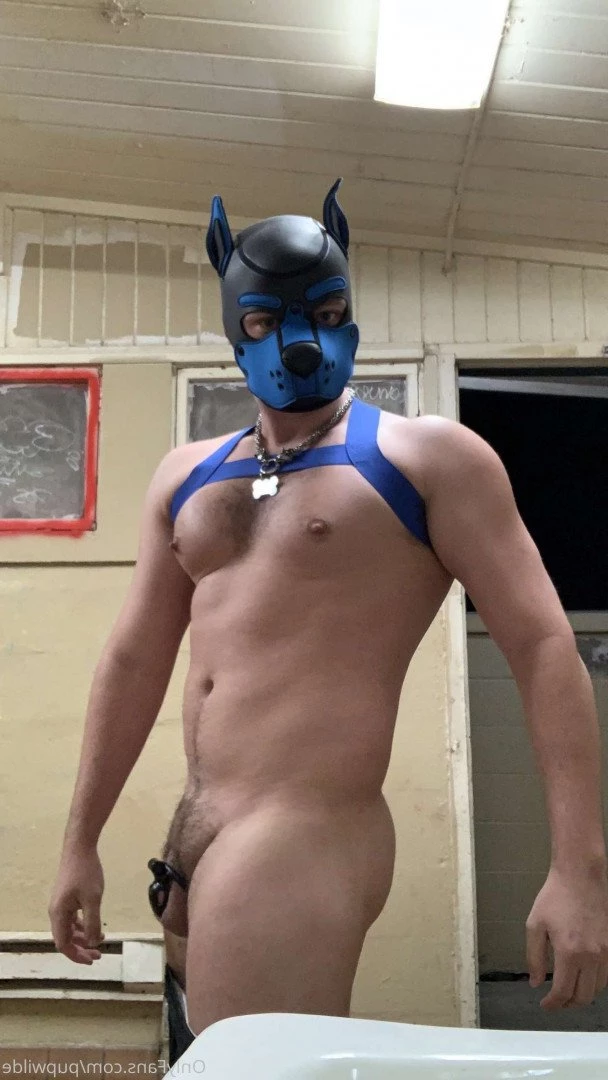 Pup Wilde [ pupwilde ] Onlyfans leaked photo 2949415 on Hotleaks.tv