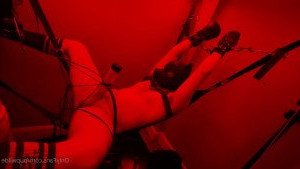Pup Wilde [ pupwilde ] Onlyfans leaked video 4533763 on Hotleaks.tv