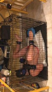 Pup Wilde [ pupwilde ] Onlyfans leaked video 4534272 on Hotleaks.tv