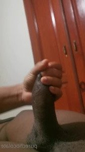 4536221