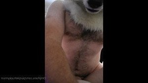 ⚡Sparks 🅱️uppy⚡ [ purplehuskymurr ] Onlyfans leaked video 4536371 on Hotleaks.tv
