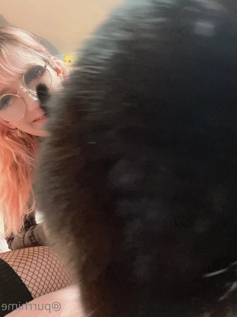 ♡ Purr ♡ [ purrhime ] Onlyfans leaked photo 2850626 on Hotleaks.tv