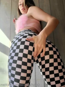 16250865