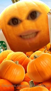 10600268