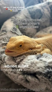 16149110