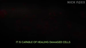 18287487