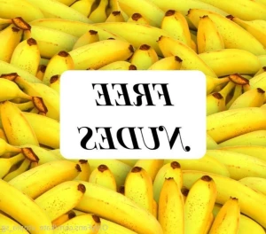 7828576