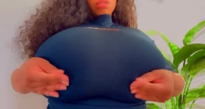 15113912