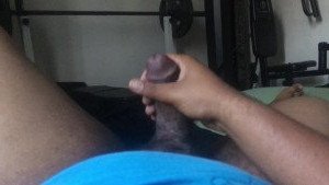 4558604