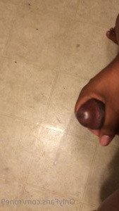 4558617