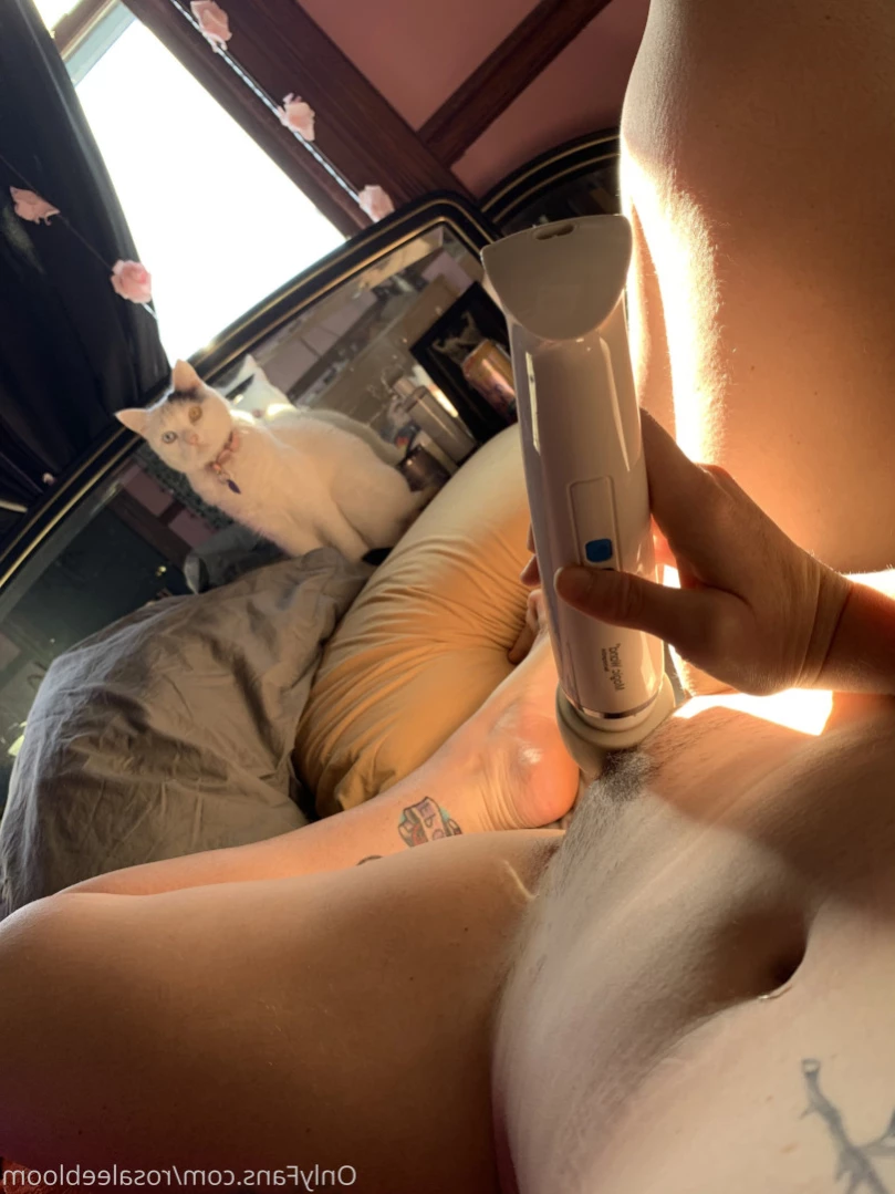 Rosa Magnolia 🌹 [ rosamagnoliaxo ] Onlyfans leaked photo 12597843 on Hotleaks.tv