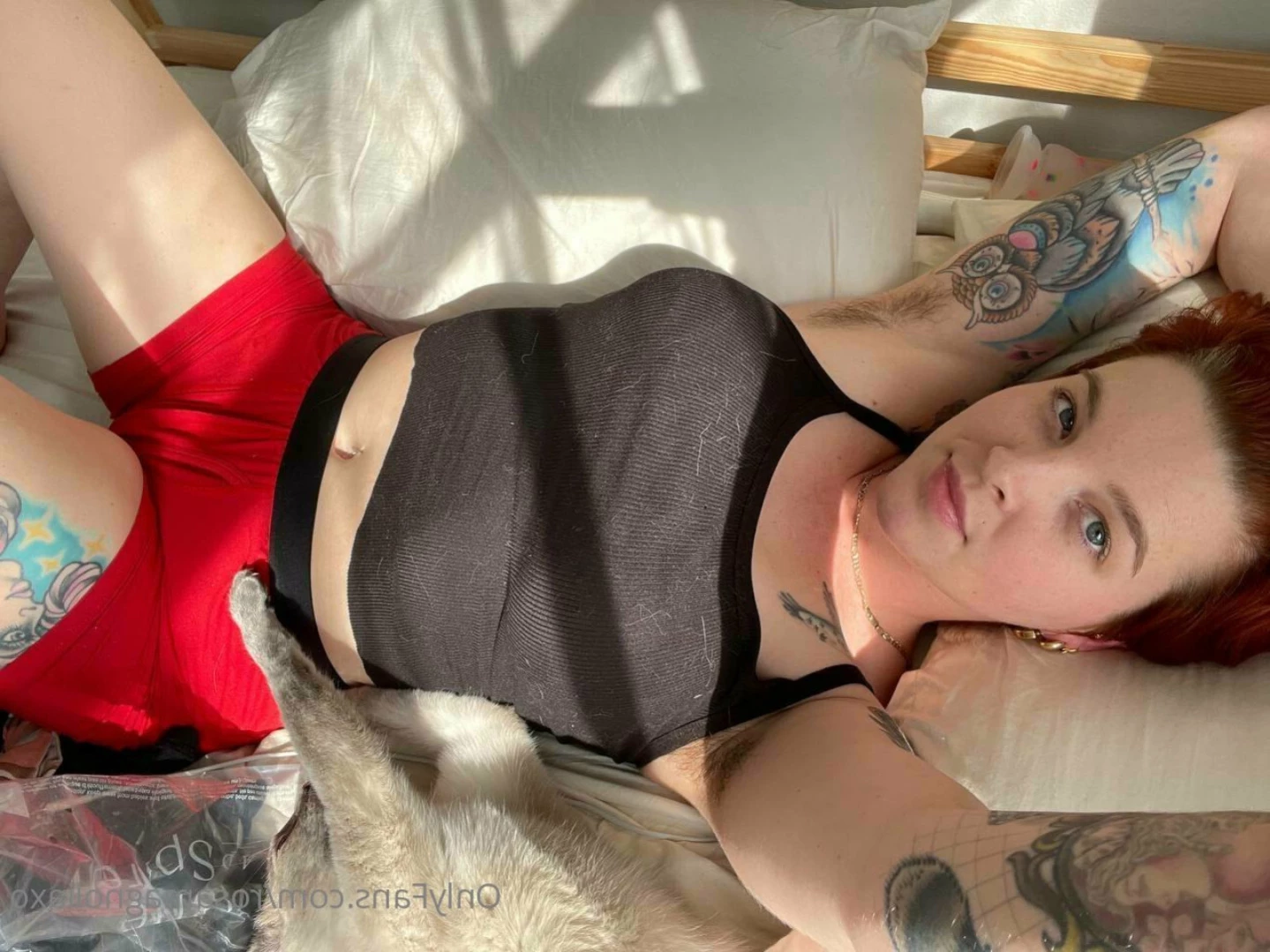 Rosa Magnolia 🌹 [ rosamagnoliaxo ] Onlyfans leaked photo 12598254 on Hotleaks.tv