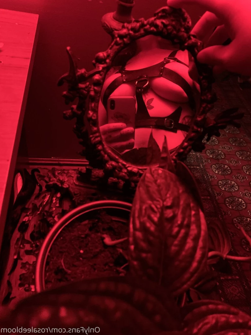 Rosa Magnolia 🌹 [ rosamagnoliaxo ] Onlyfans leaked photo 14839380 on Hotleaks.tv