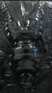Emma Lee [ rubberdollemma ] Onlyfans leaked video 12596508 on Hotleaks.tv