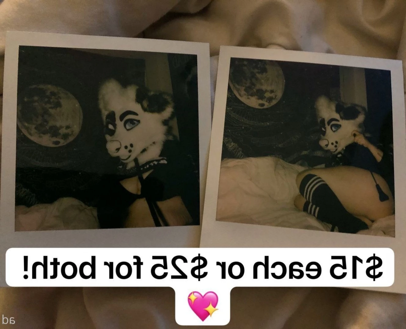 🔞💦Huff Puppy 💦🔞 [ saoirsemutt ] Onlyfans leaked photo 3019651 on Hotleaks.tv