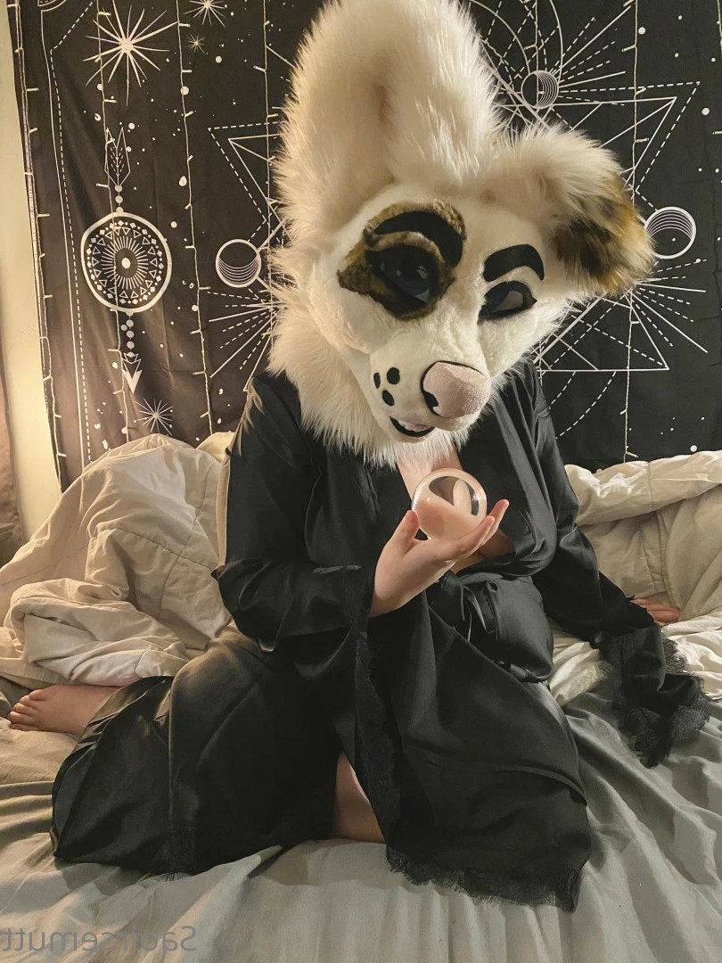 🔞💦Huff Puppy 💦🔞 [ saoirsemutt ] Onlyfans leaked photo 3023413 on Hotleaks.tv