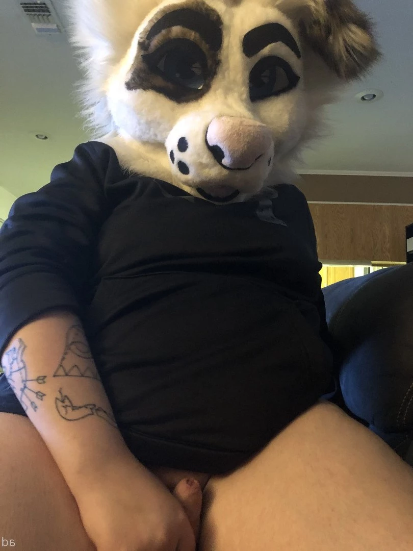 🔞💦Huff Puppy 💦🔞 [ saoirsemutt ] Onlyfans leaked photo 3023543 on Hotleaks.tv