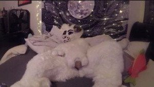 🔞💦Huff Puppy 💦🔞 [ saoirsemutt ] Onlyfans leaked video 4570979 on Hotleaks.tv