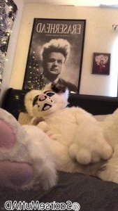 🔞💦Huff Puppy 💦🔞 [ saoirsemutt ] Onlyfans leaked video 4570983 on Hotleaks.tv