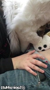 🔞💦Huff Puppy 💦🔞 [ saoirsemutt ] Onlyfans leaked video 4571037 on Hotleaks.tv
