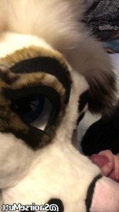 🔞💦Huff Puppy 💦🔞 [ saoirsemutt ] Onlyfans leaked video 4571131 on Hotleaks.tv