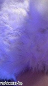🔞💦Huff Puppy 💦🔞 [ saoirsemutt ] Onlyfans leaked video 4571200 on Hotleaks.tv