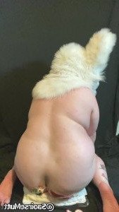 4571383