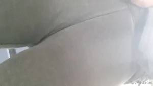 18286591