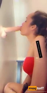 12969194