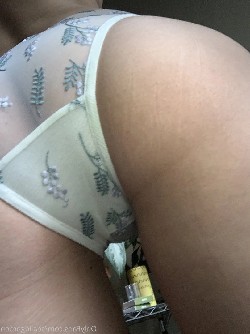 Sealid [ sealidgarden ] Onlyfans leaked photo 2829132 on Hotleaks.tv