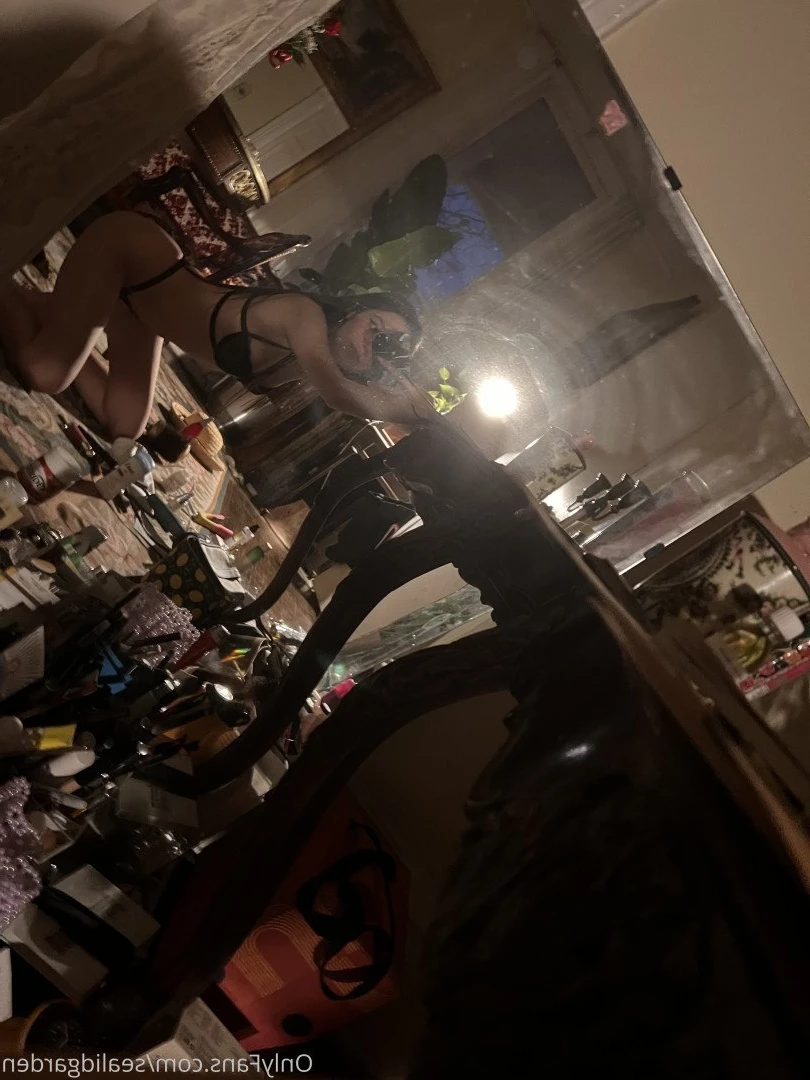 Sealid [ sealidgarden ] Onlyfans leaked photo 2831301 on Hotleaks.tv