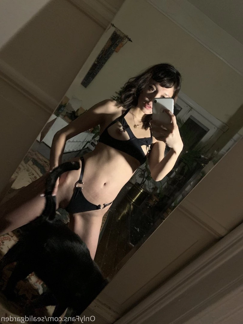 Sealid [ sealidgarden ] Onlyfans leaked photo 2833380 on Hotleaks.tv