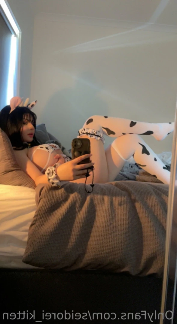 Seidorei Kitten [ seidorei_kitten ] Onlyfans leaked photo 12685152 on Hotleaks.tv
