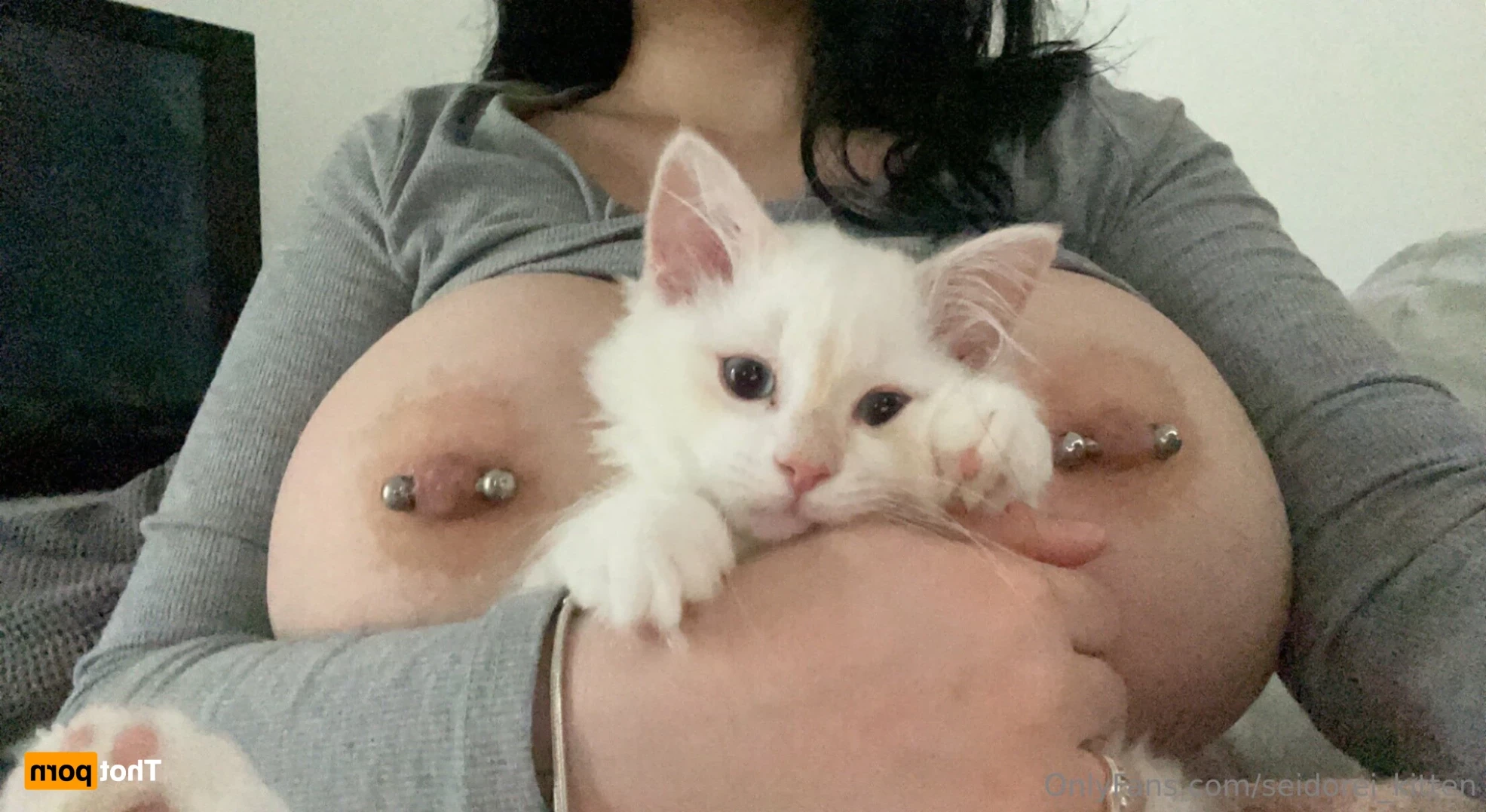 Seidorei Kitten [ seidorei_kitten ] Onlyfans leaked photo 12685158 on Hotleaks.tv
