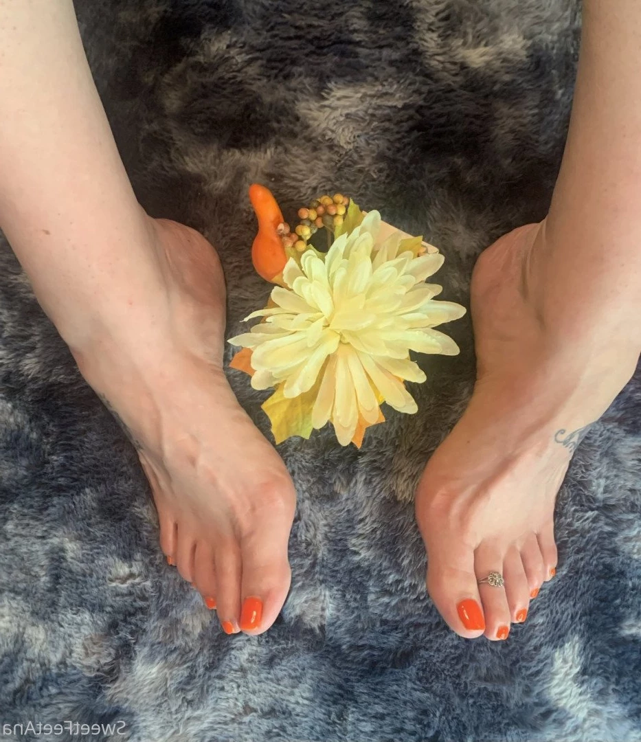 sexysweetfeetana [ sexysweetfeeta1 ] Onlyfans leaked photo 2736717 on Hotleaks.tv