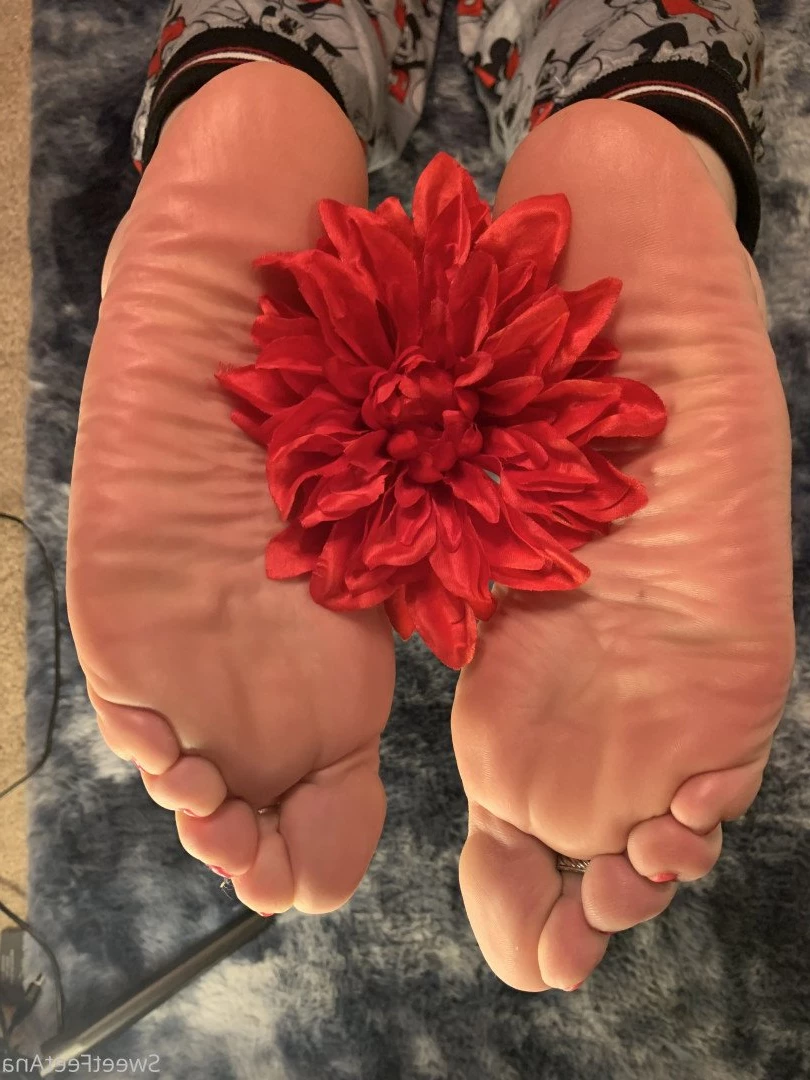 sexysweetfeetana [ sexysweetfeeta1 ] Onlyfans leaked photo 2740348 on Hotleaks.tv