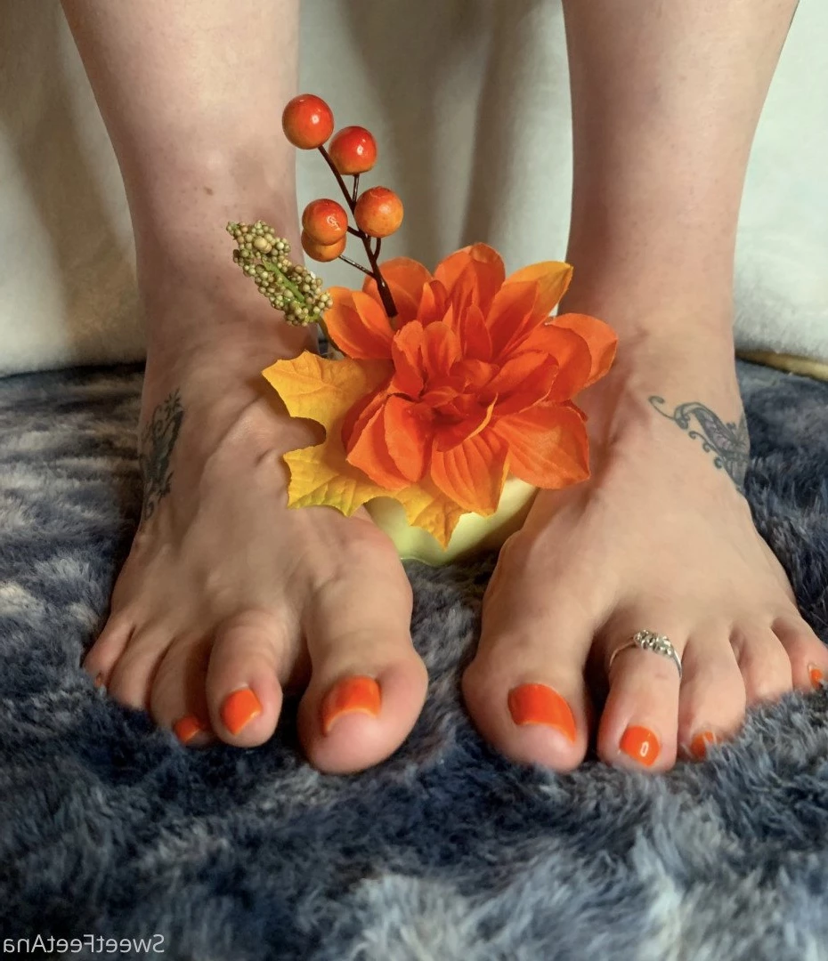 sexysweetfeetana [ sexysweetfeeta1 ] Onlyfans leaked photo 2757367 on Hotleaks.tv