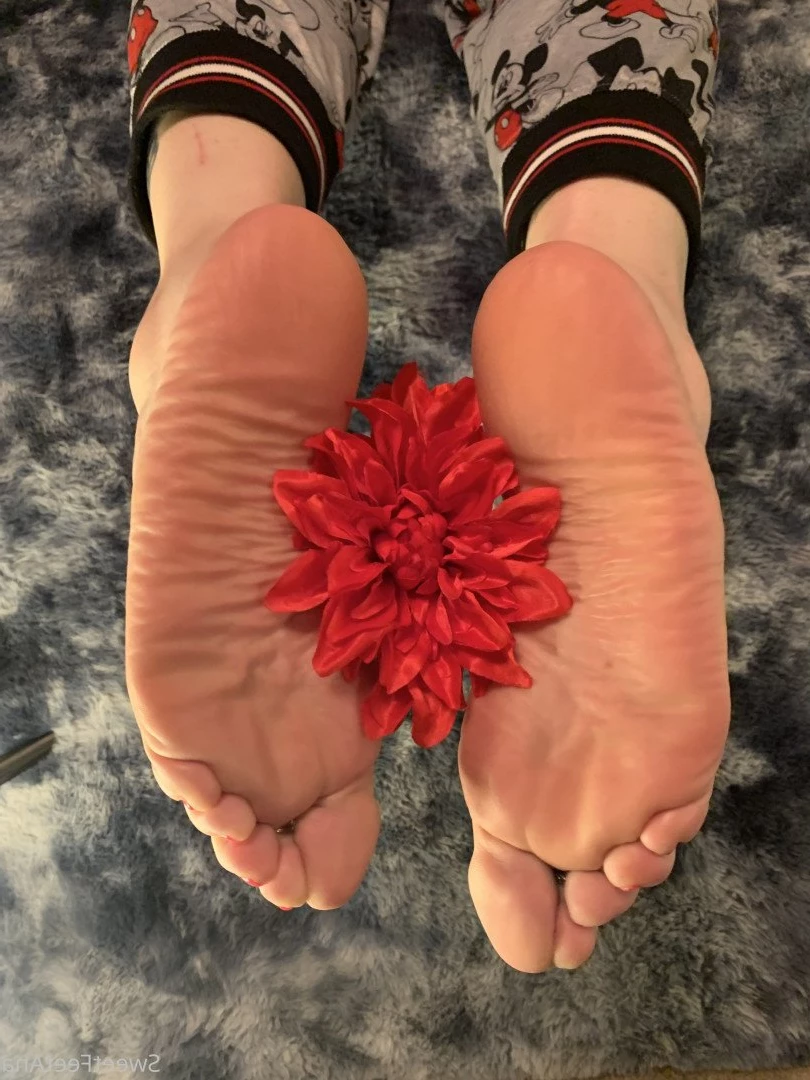 sexysweetfeetana [ sexysweetfeeta1 ] Onlyfans leaked photo 2762653 on Hotleaks.tv