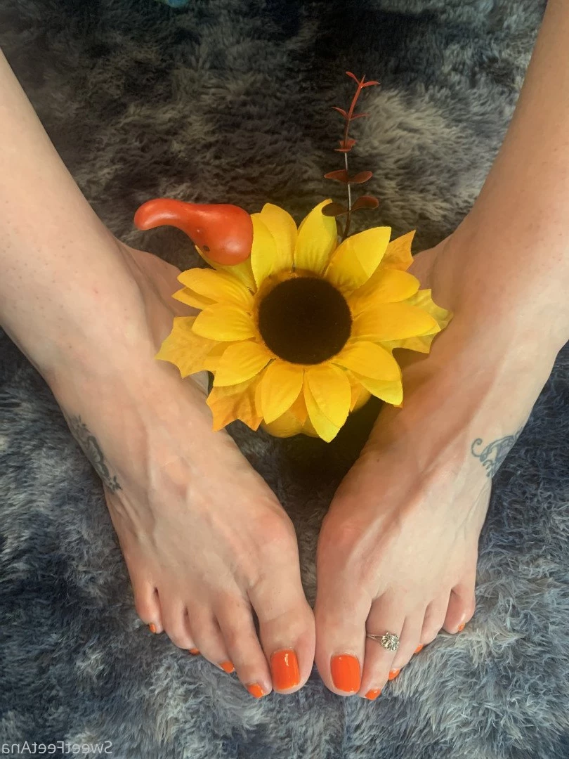 sexysweetfeetana [ sexysweetfeeta1 ] Onlyfans leaked photo 2771352 on Hotleaks.tv
