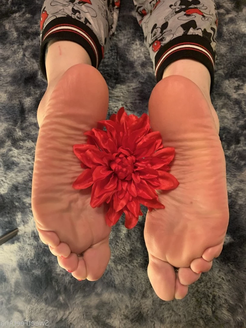 sexysweetfeetana [ sexysweetfeeta1 ] Onlyfans leaked photo 2771368 on Hotleaks.tv