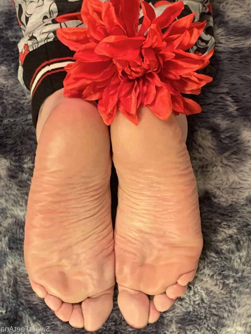 sexysweetfeetana [ sexysweetfeeta1 ] Onlyfans leaked photo 2775658 on Hotleaks.tv
