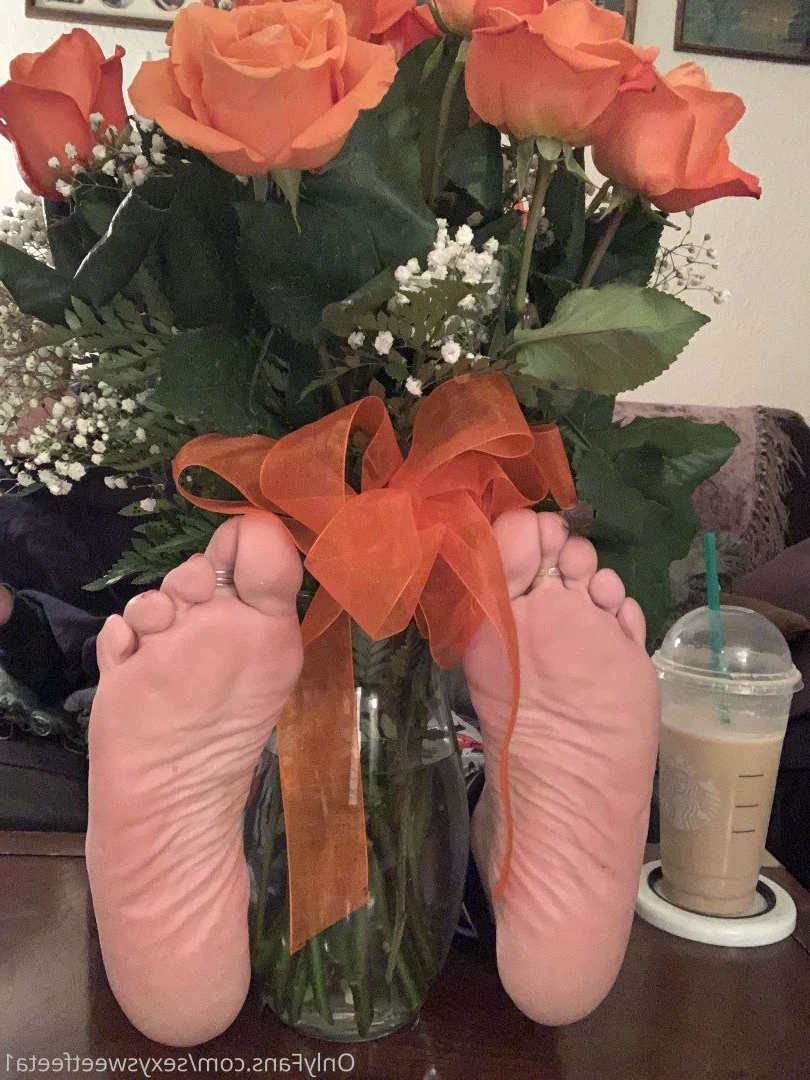 sexysweetfeetana [ sexysweetfeeta1 ] Onlyfans leaked photo 2780216 on Hotleaks.tv