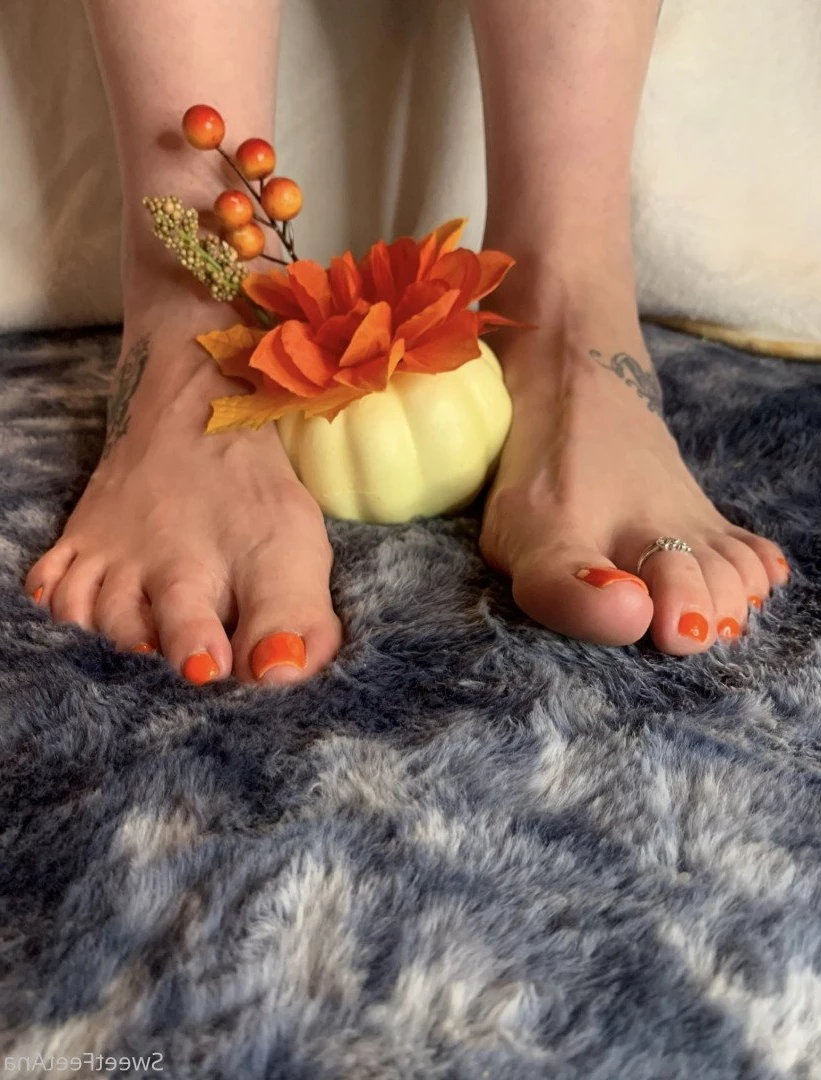 sexysweetfeetana [ sexysweetfeeta1 ] Onlyfans leaked photo 2780459 on Hotleaks.tv