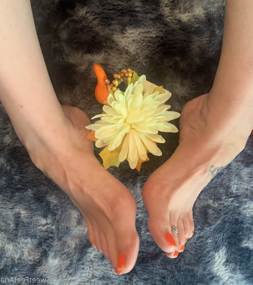 sexysweetfeetana [ sexysweetfeeta1 ] Onlyfans leaked photo 2790710 on Hotleaks.tv