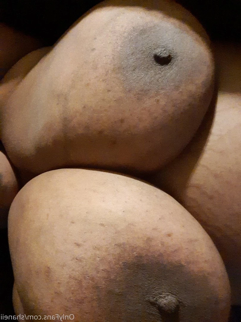Shanei [ shaneii ] Onlyfans leaked photo 2756843 on Hotleaks.tv