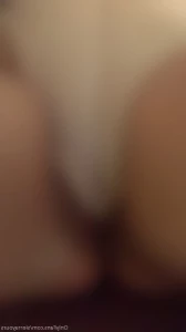 2719213