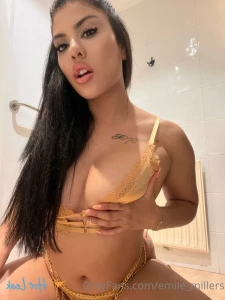 16182673