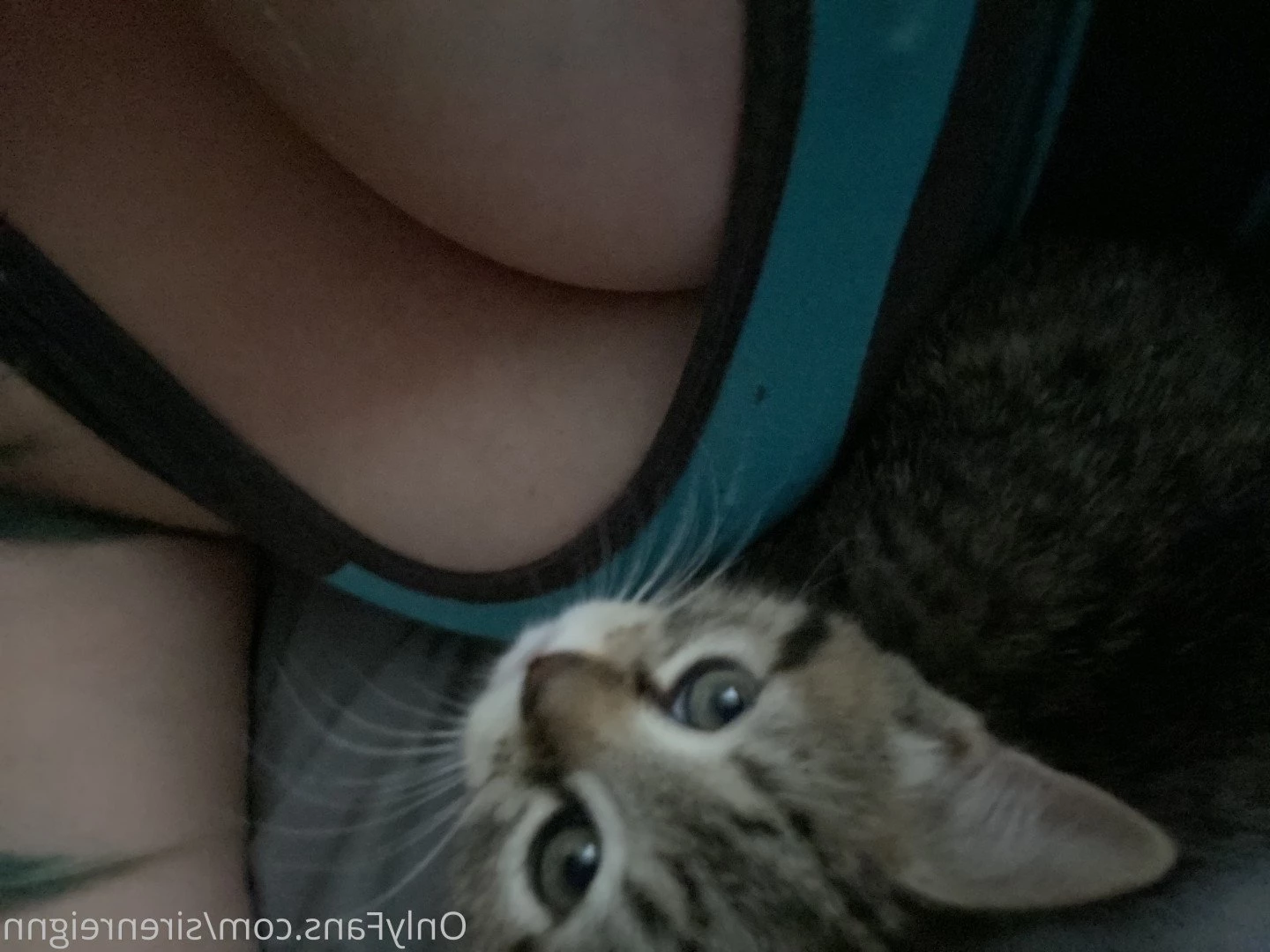 SirenXx [ xxsirenxxx ] Onlyfans leaked photo 2702102 on Hotleaks.tv