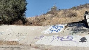 skatin with will [ skaterrboi ] Onlyfans leaked video 4584592 on Hotleaks.tv